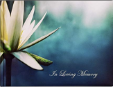 Funeral Guestbooks