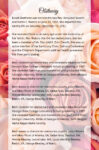 Pink Roses Theme Death Memory & Remembrance Cards To Remember A Loved One